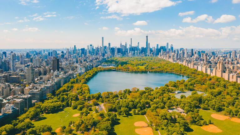 Aerial view of the Central park in New York with golf fields