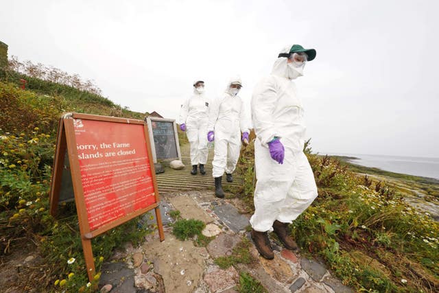 important bird habitat will reopen to visitors after shutting due to avian flu