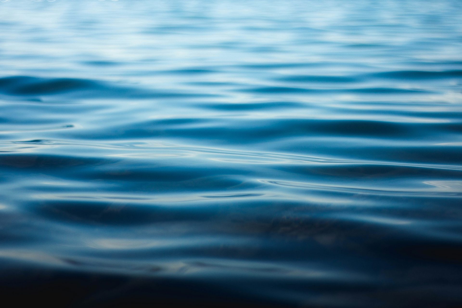 Toilet paper vs. water should you switch?