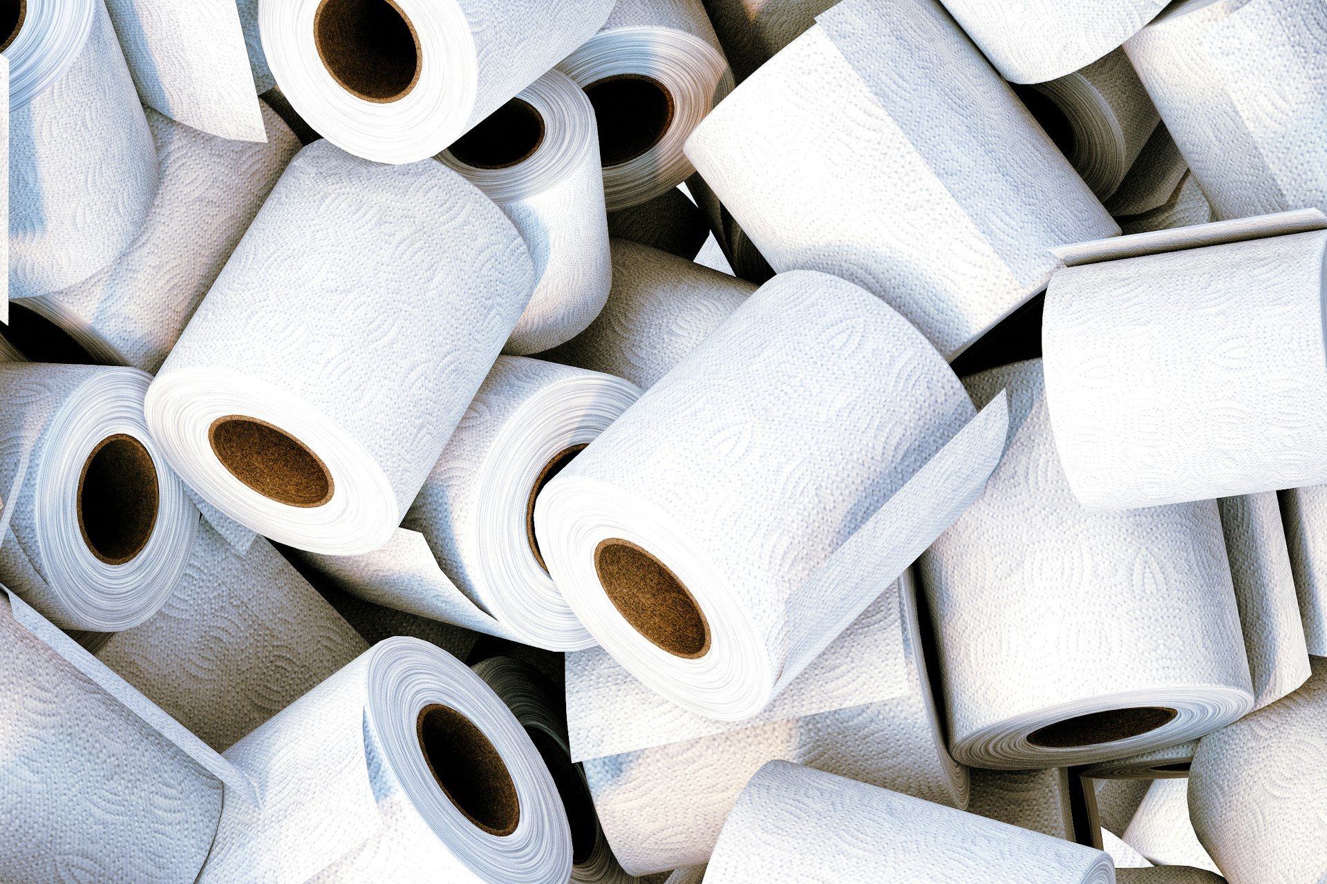 Toilet paper vs. water should you switch?