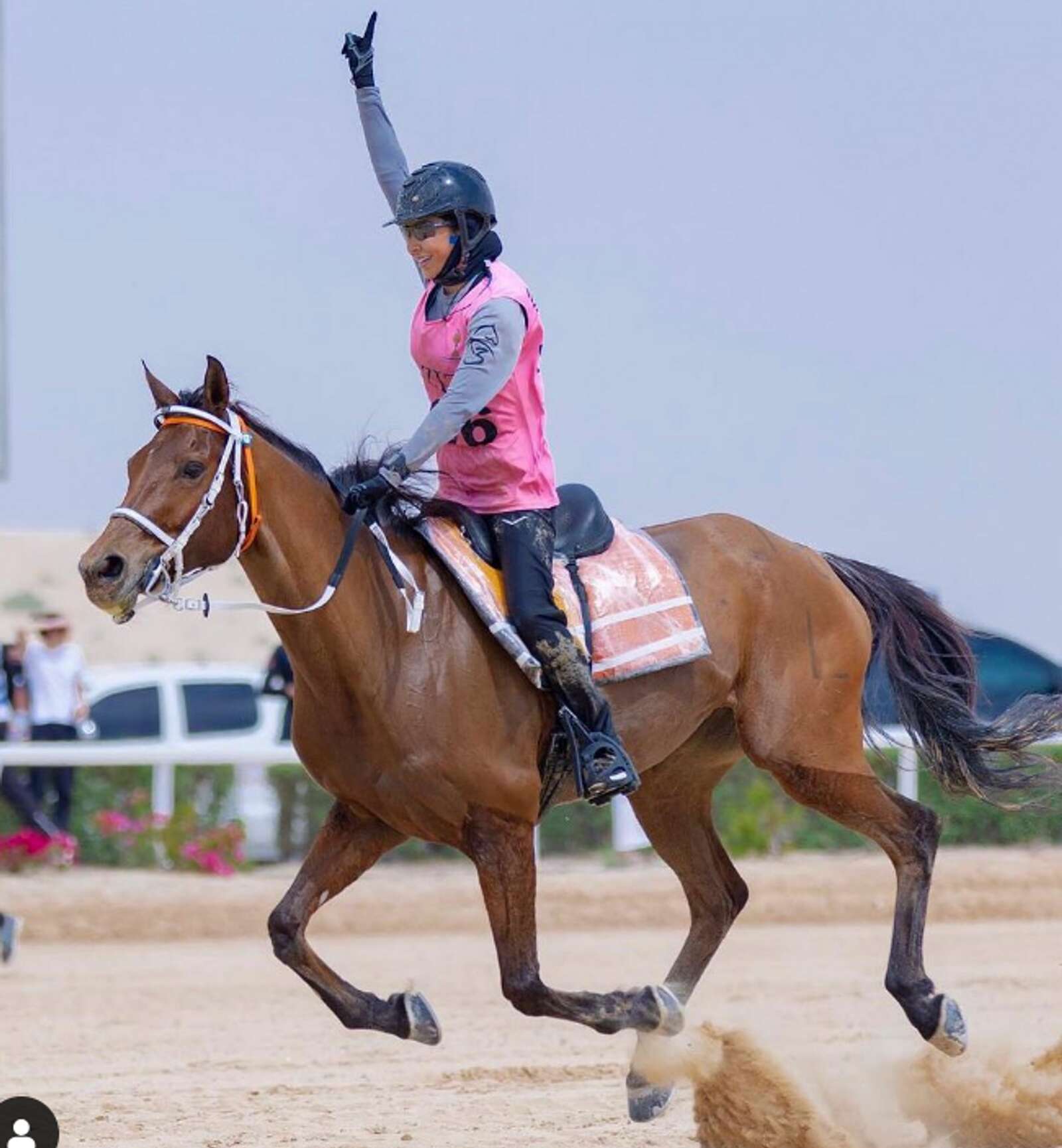 ladies to show the way in 2024 hh sheikh mohammed endurance festival