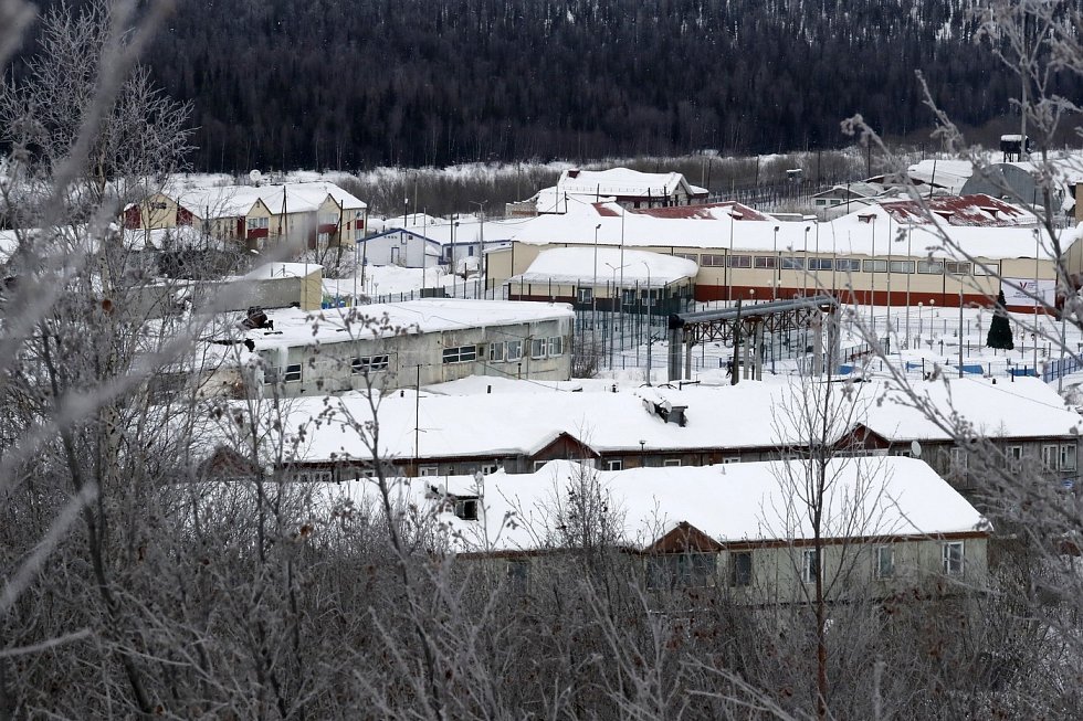 polární vlk se špatnou pověstí. věznice, kde zemřel navalnyj, děsí už prostředím