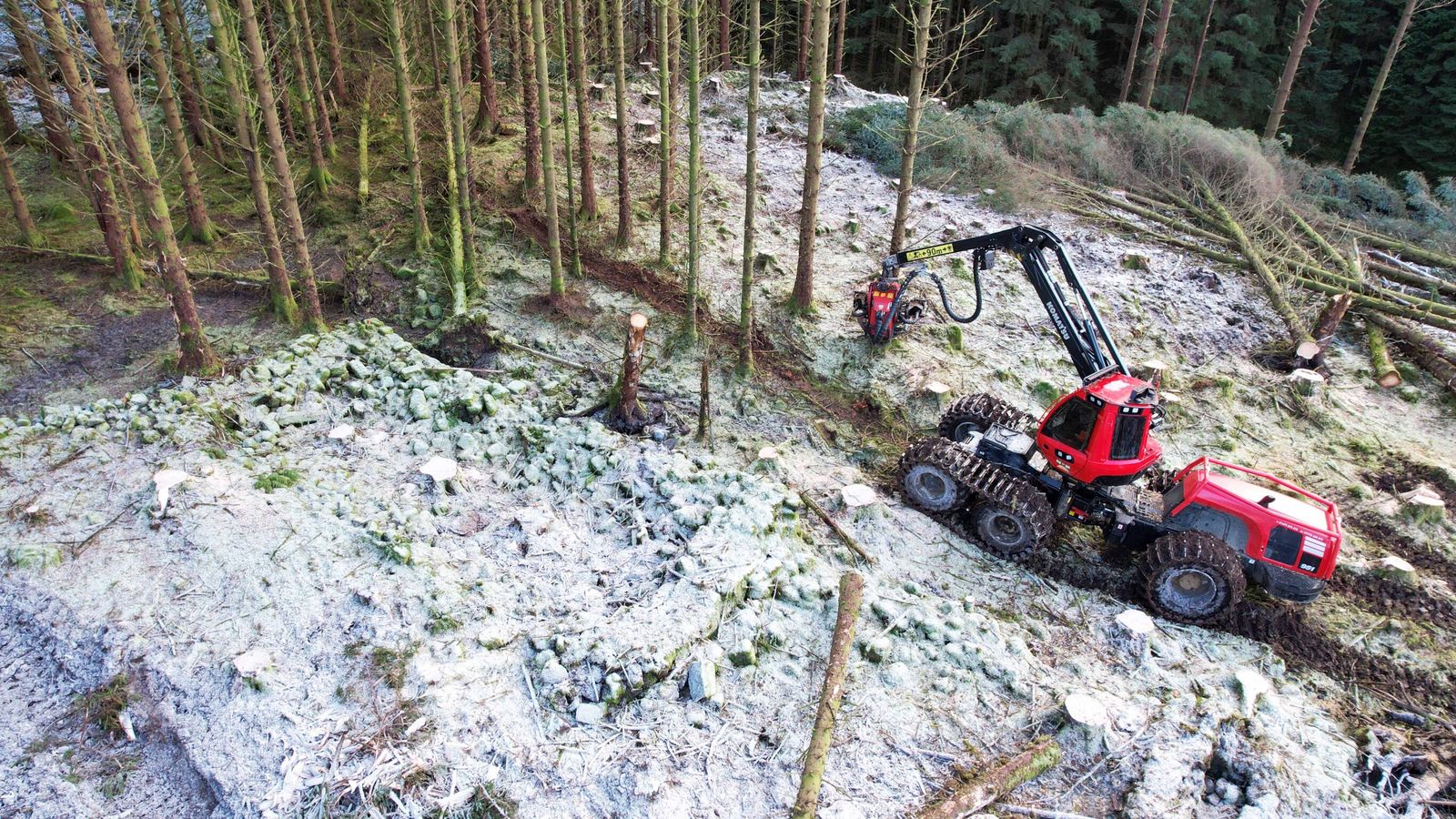 lost village unveiled after tree-felling operation