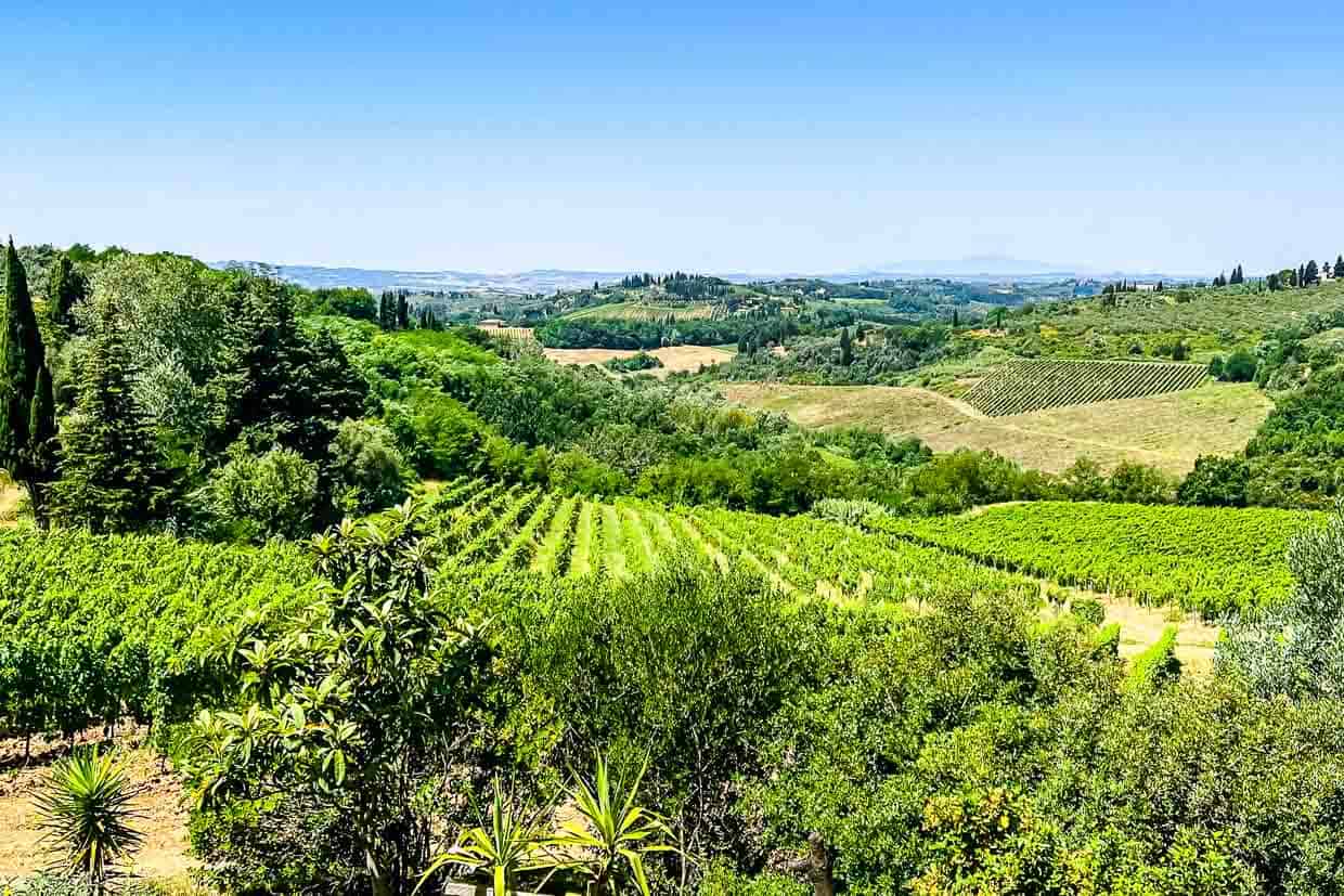 <p>Picture this: rolling hills, artistic heritage, and vineyards for days. Welcome to Tuscany! This region is not only a visual delight but also a culinary haven with wines and dishes that are as unforgettable as the landscape. From the Leaning Tower of Pisa to the Uffizi Gallery in Florence, Tuscany is a journey through the cradle of Renaissance.</p><p><strong>Read more: </strong><a href="https://fooddrinklife.com/beauty-of-tuscany/?utm_source=msn&utm_medium=page&utm_campaign=msn">Exploring the Beauty of Tuscany: A Complete Travel Guide</a></p>