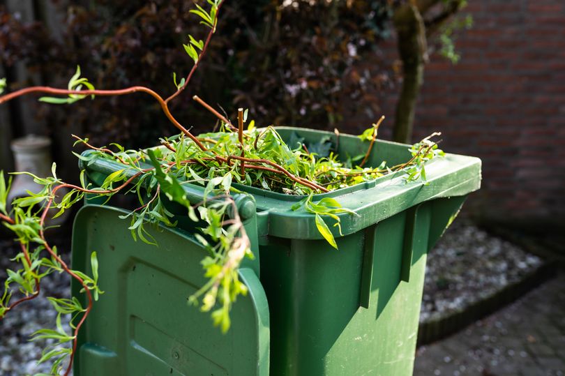 residents in part of leicestershire being asked choose from three new recycling bin options