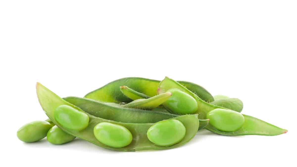 <p><span>Edamame beans, seasoned with a pinch of salt, offer a delightful indulgence. These little green powerhouses are loaded with protein and fiber, making them a clever choice for a savory snack. What's more, they add a fun element to snacking and help pass the time during those extended road journeys.</span></p>