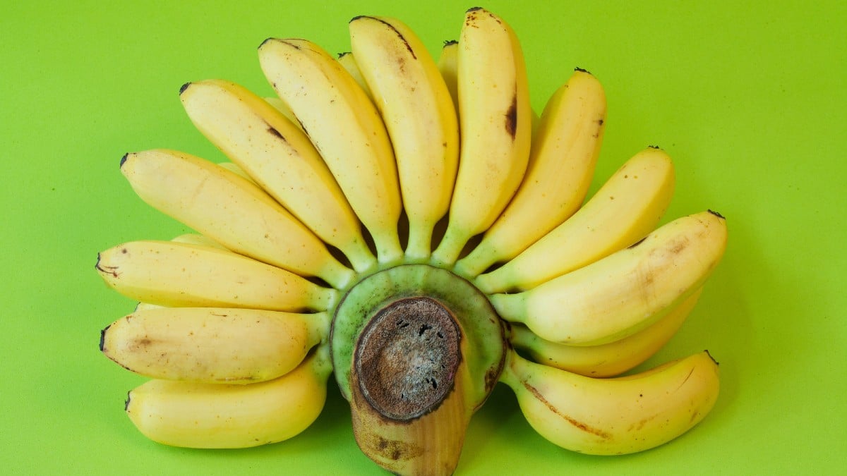 <p><span>Bananas are nature's answer to energy bars. Easy to carry and eat, they're packed with essential vitamins and provide a quick energy boost.</span></p>