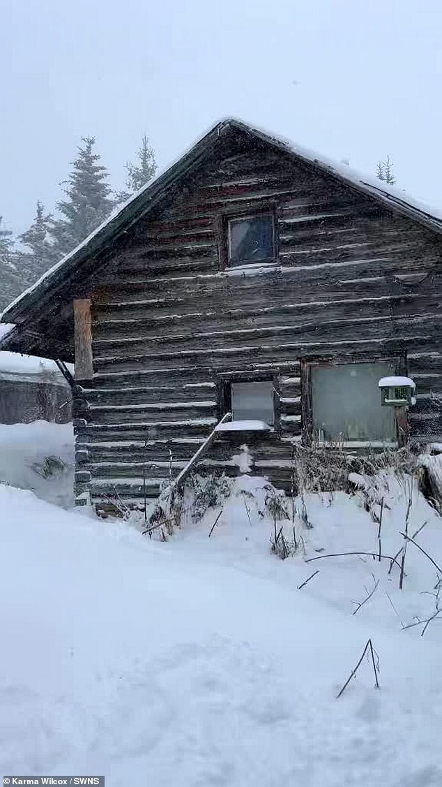 i left my cushy california life at 19 to live in a log cabin in alaska where temperatures drop to -40... there's no running water or heating but i love it