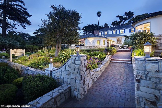 the 'octopus' billionaire buying up carmel: patrice pastor's many properties in small seaside town