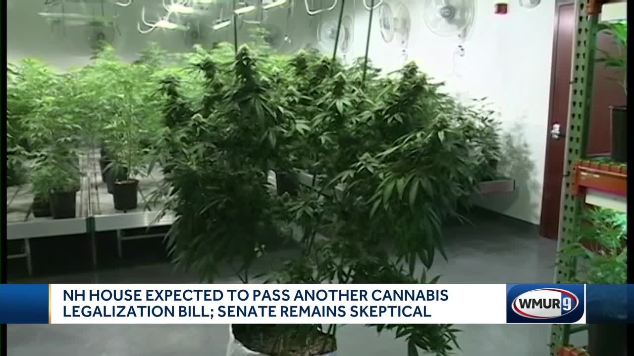 NH House Expected To Pass Another Cannabis Legalization Bill; Senate ...