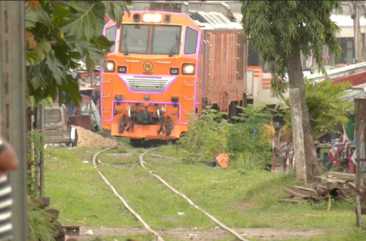 woman gets hit by train while saving dog in camarines sur