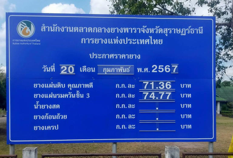 เปิดสาเหตุราคายางทุบสถิติ ใครกว้านซื้อ