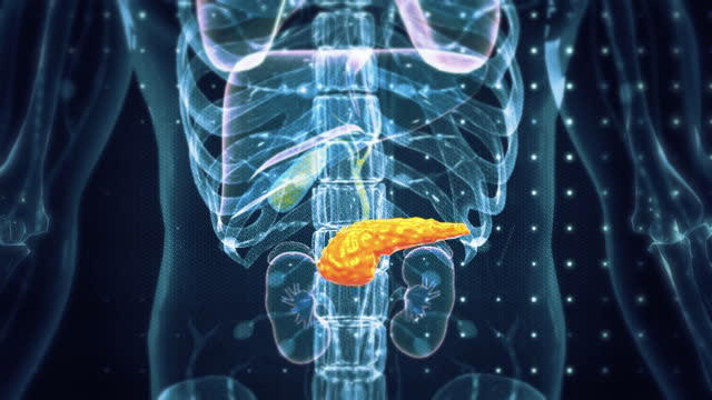 The pancreas is situated deep within the abdomen, making it difficult for early tumours to cause noticeable symptoms. (Photo: Getty Images)