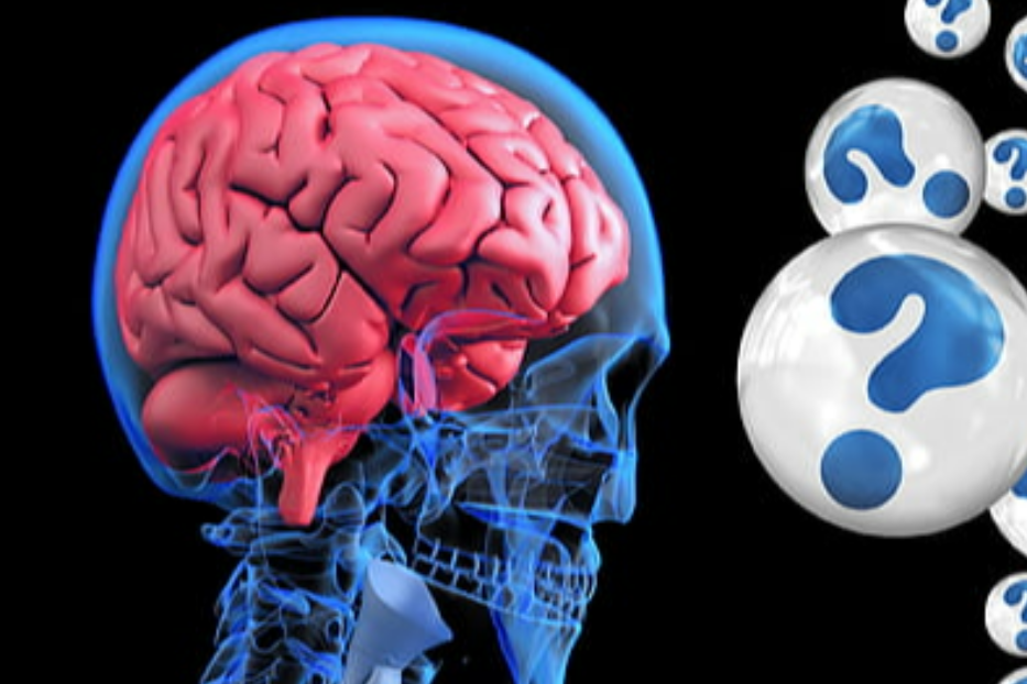 cervelli femminili e maschili: uguali o diversi? ecco la risposta, con rischio