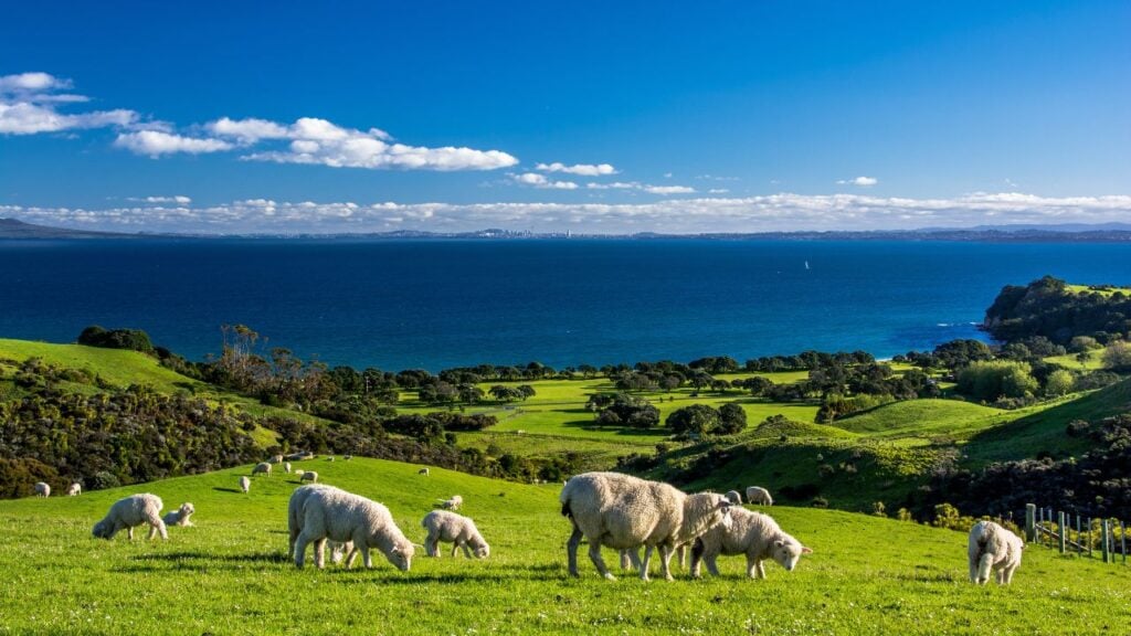 <p>A 1,001-foot high hill in New Zealand has the longest name in the English-speaking world. It’s Taumatawhakatangihangakoauauotamateaturipukakapikimaungahoronukupokaiwhenu-akitanatahu. Sometimes, locals refer to it as “Taumata,” for short. </p>