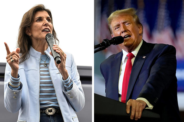 Polls Trump leads over Haley ahead of NC primary
