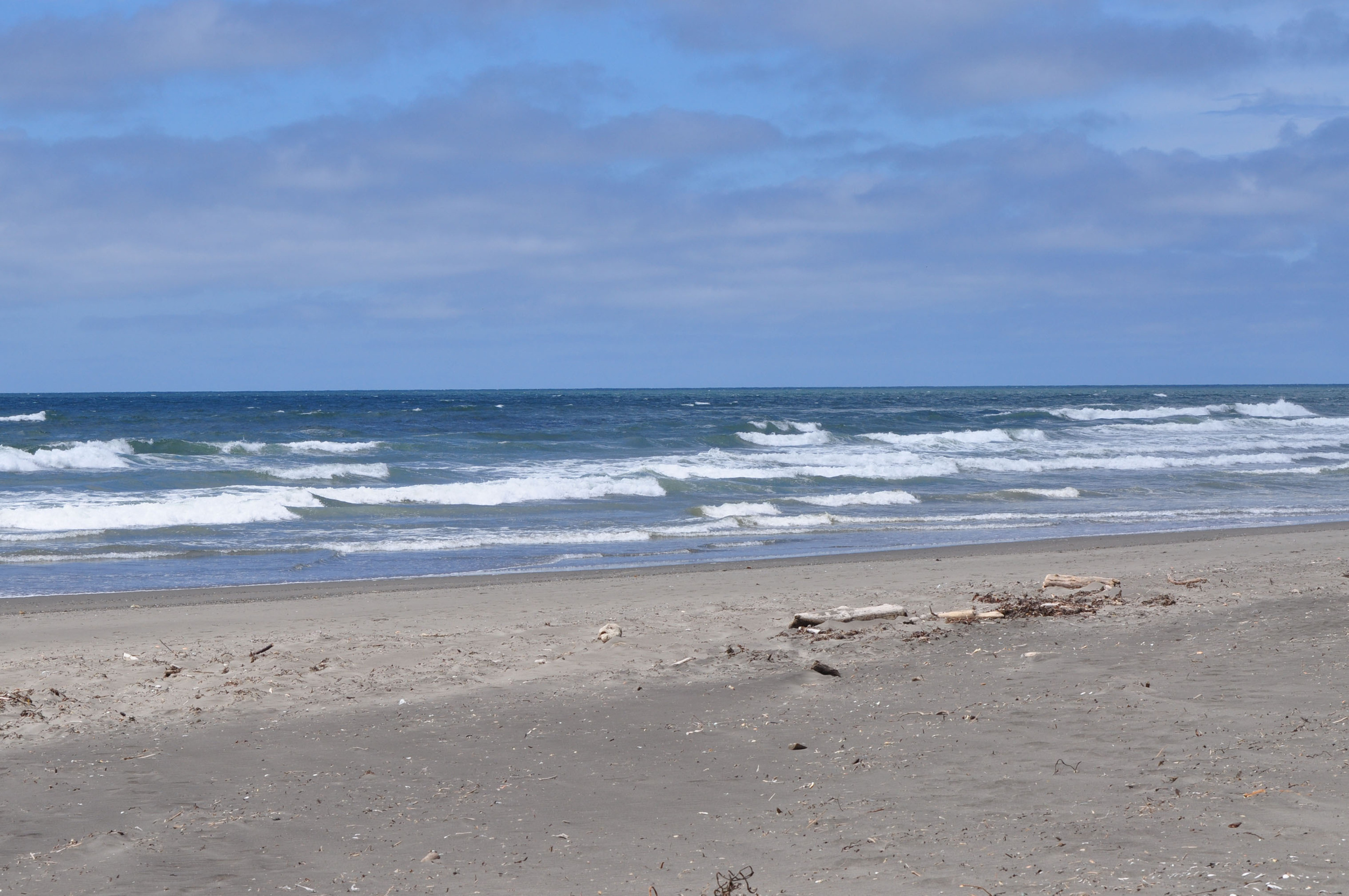 <p>Ocean Shores is the crown jewel of the Washington coast, popular with families, couples, and solo travelers. There are many access points to the beach where you can enjoy sweeping views. You can even drive on the beach here! If wheels aren’t your thing, horseback riding is a popular activity.</p><p><a href='https://www.msn.com/en-us/community/channel/vid-cj9pqbr0vn9in2b6ddcd8sfgpfq6x6utp44fssrv6mc2gtybw0us'>Follow us on MSN to see more of our exclusive lifestyle content.</a></p>