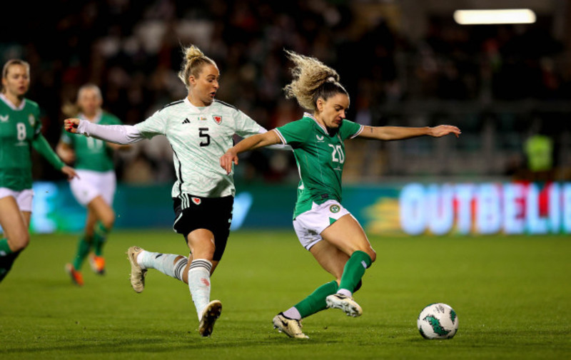 gleeson's ireland undone by wales in front of record crowd at tallaght