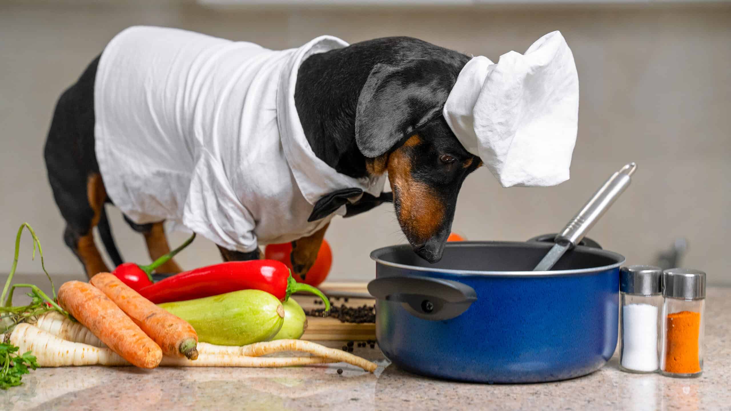 13 Human Foods That Are Good For Your Dog