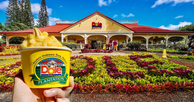 Dole Plantation & Other Tourist Traps in Hawaii To Skip