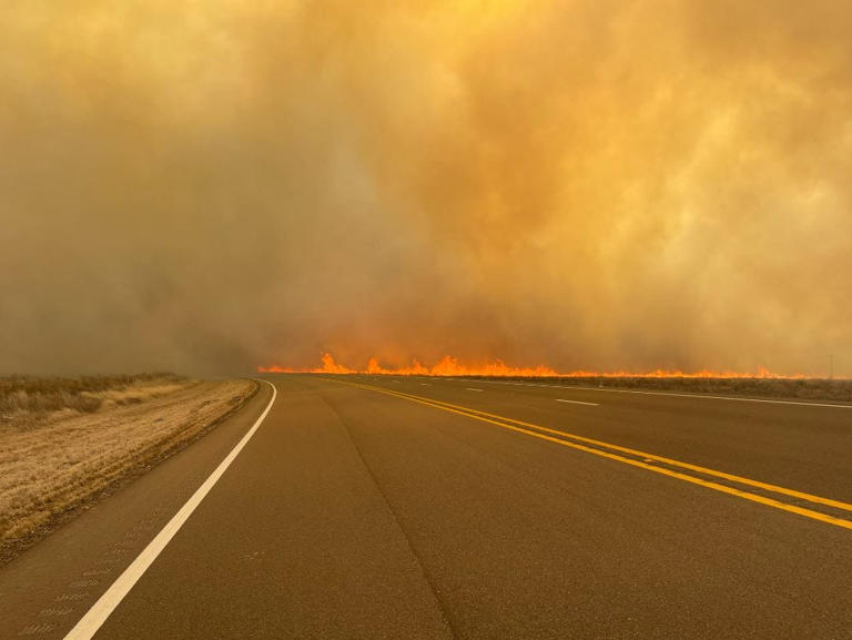 TAMFS: No active Texas wildfires, Smokehouse Creek fire 100% contained