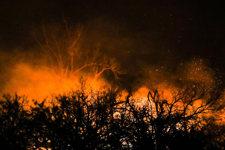 Where Are The Wildfires In Texas Right Now Map Shows Extent Of Devastation 