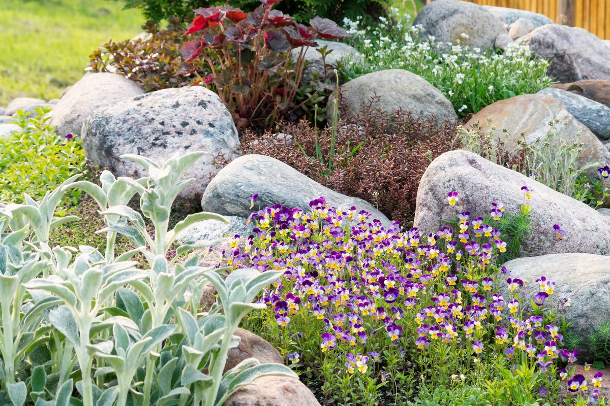 Upgrade Your Backyard with These Creative Rock Garden Ideas