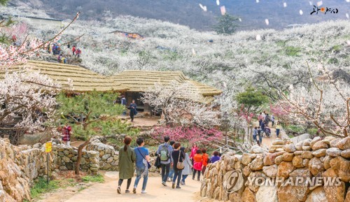 광양매화마을, 여행플랫폼 선정 '봄꽃 여행지 6선'