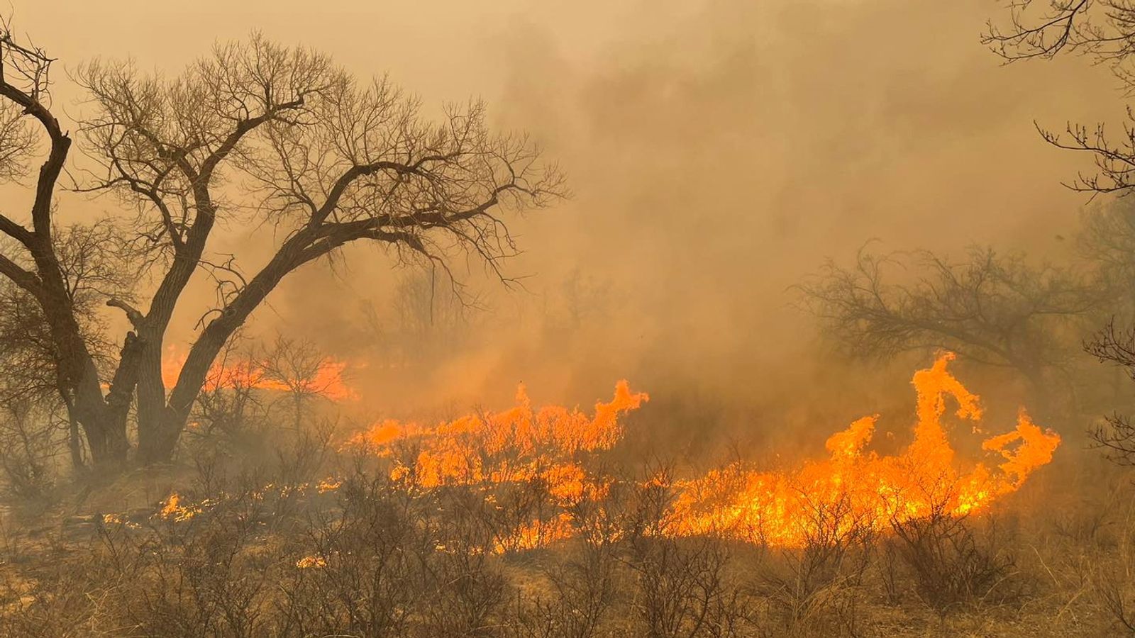 disaster declared and nuclear weapons plant shut down as texas battles wildfires