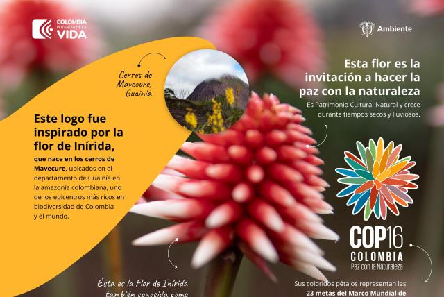 COP16: Esta Es La Imagen Oficial Del Evento, Inspirada En Una Flor, Y ...