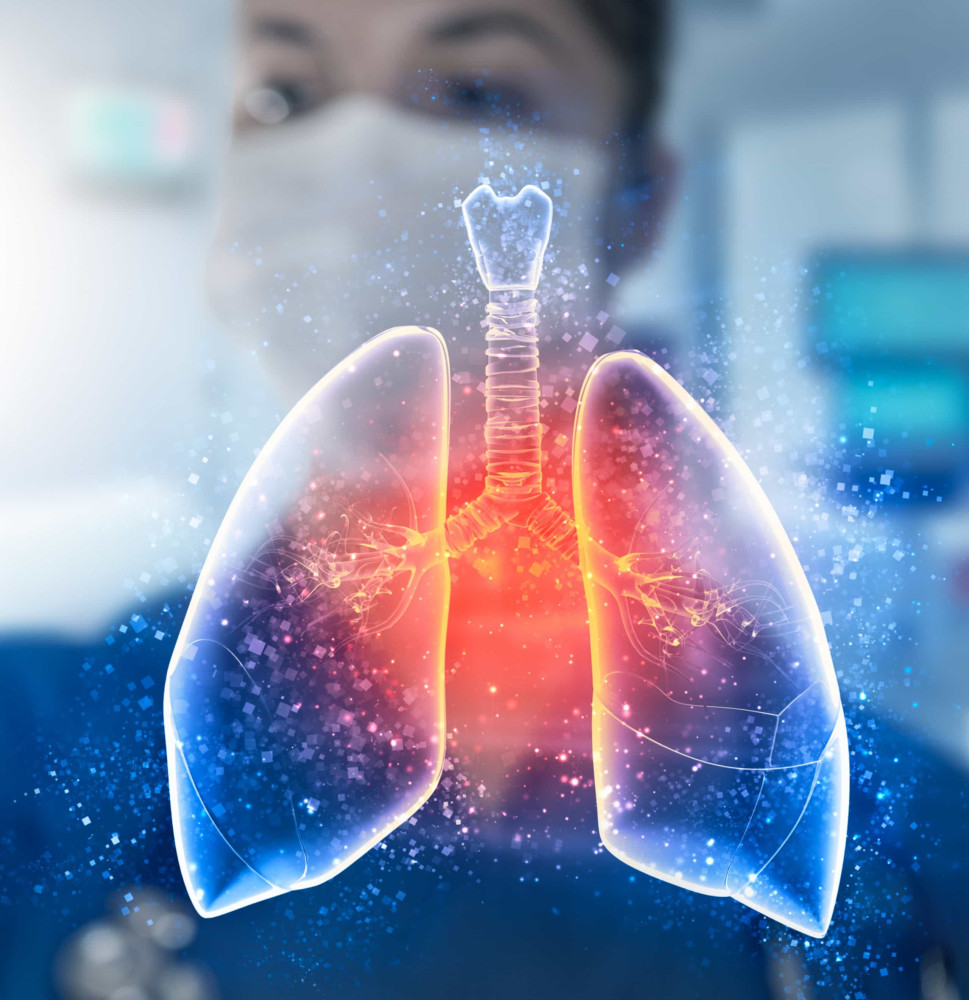 The lungs: Their function and common problems