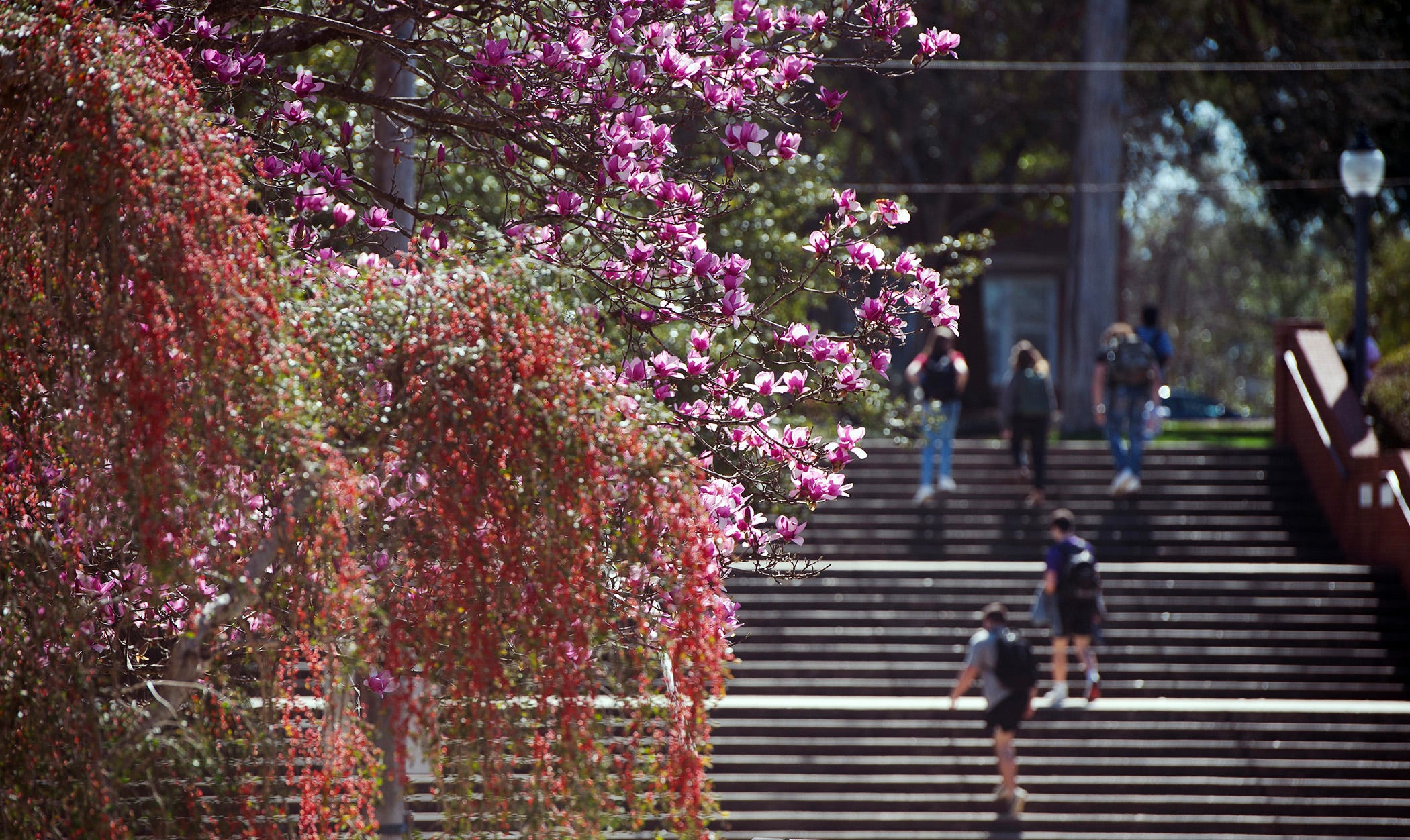 When is spring break 2026? See dates for Mississippi schools, colleges