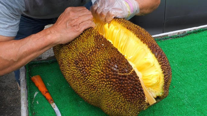 abriendo jackfruit