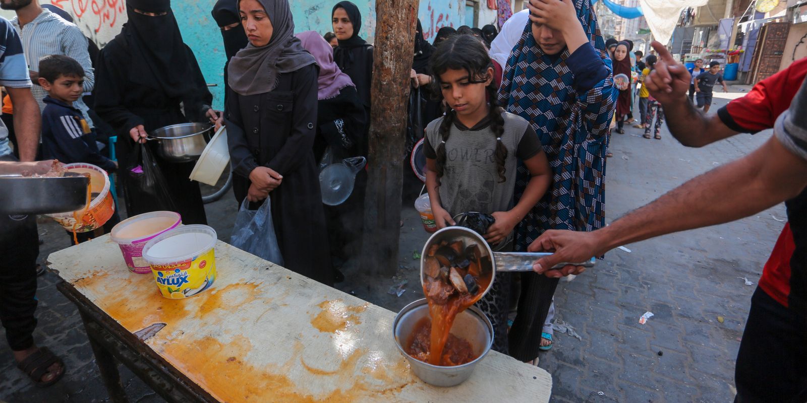ahmad i gaza: ”barnen ville inte äta hundkött men vi tvingade dem”