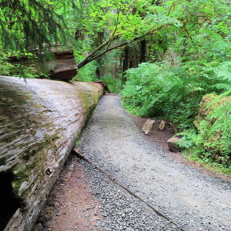 NATIONAL PARKS TO VISIT ON AN ALASKA NATIONAL PARK CRUISE