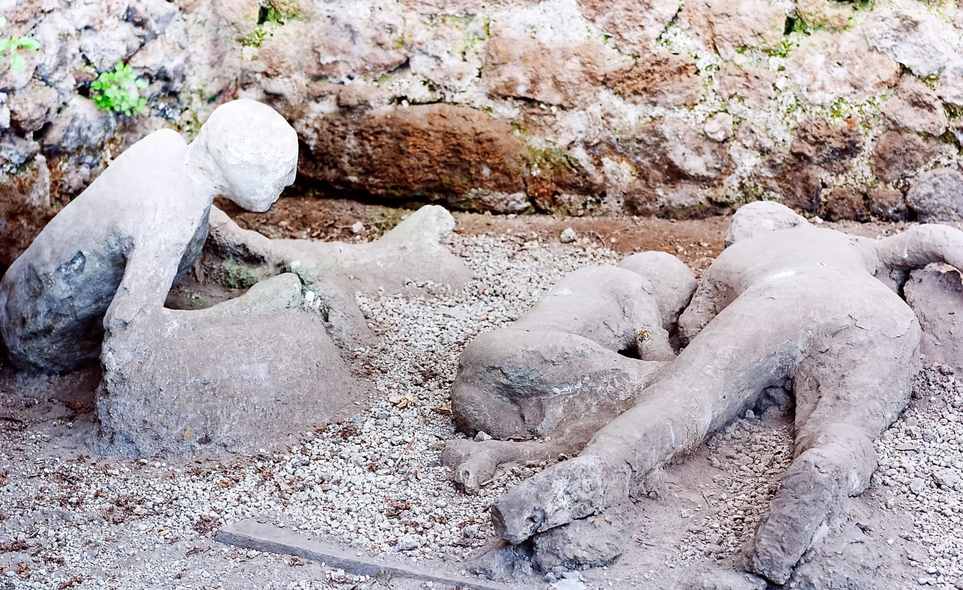 You can find bodies throughout the ancient city. It was originally believed that the cause of death of the Pompeii residents was being covered with volcanic ash.<p>You may also like:<a href="https://www.starsinsider.com/n/357956?utm_source=msn.com&utm_medium=display&utm_campaign=referral_description&utm_content=450429v6en-us"> Weird and wonderful animals you've never heard of</a></p>