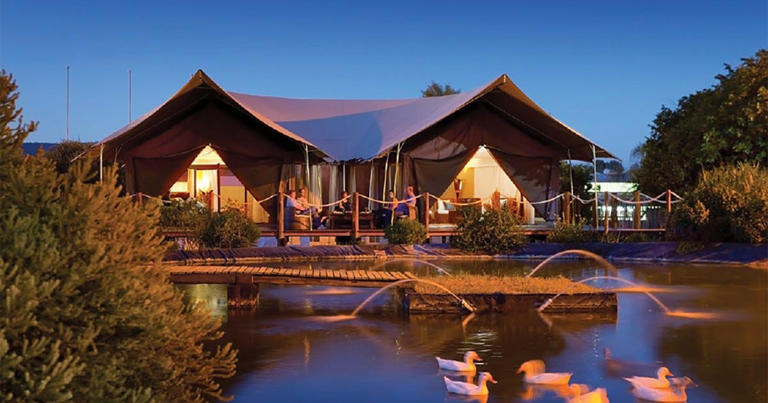 Savannah Sunset Resort and Spa is an overnight oasis offering exclusive panoramic views within our 350-acre Wild Safari which is home to over 1,200 animals from 6 continents.
