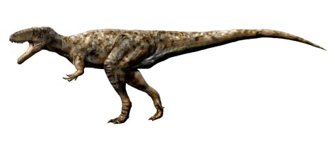 13 Incredible Dinosaurs That Start With W