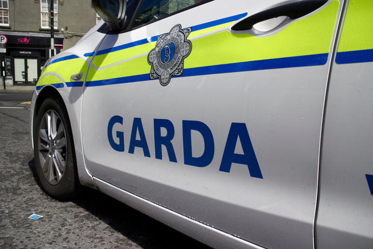 Gardaí Probing Alleged Assault Of Girl In Kildare Amid False Online Rumours Of Sexual Crime 1031