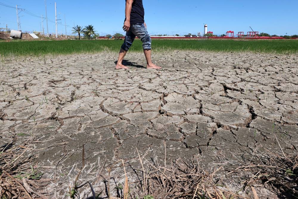 Agri Damage Due To El Niño Now At P941.7 Million — NDRRMC