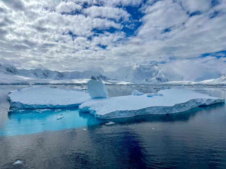 Dive into the icy wonders of Antarctica through our collection of 20 stunning photos 📸. These captivating snapshots are sure to leave you in awe and inspired to book your own adventure!