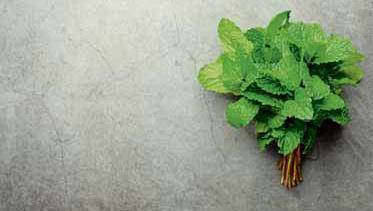 Mint: From Soups & Soaps To Stimulants And Stress-busters