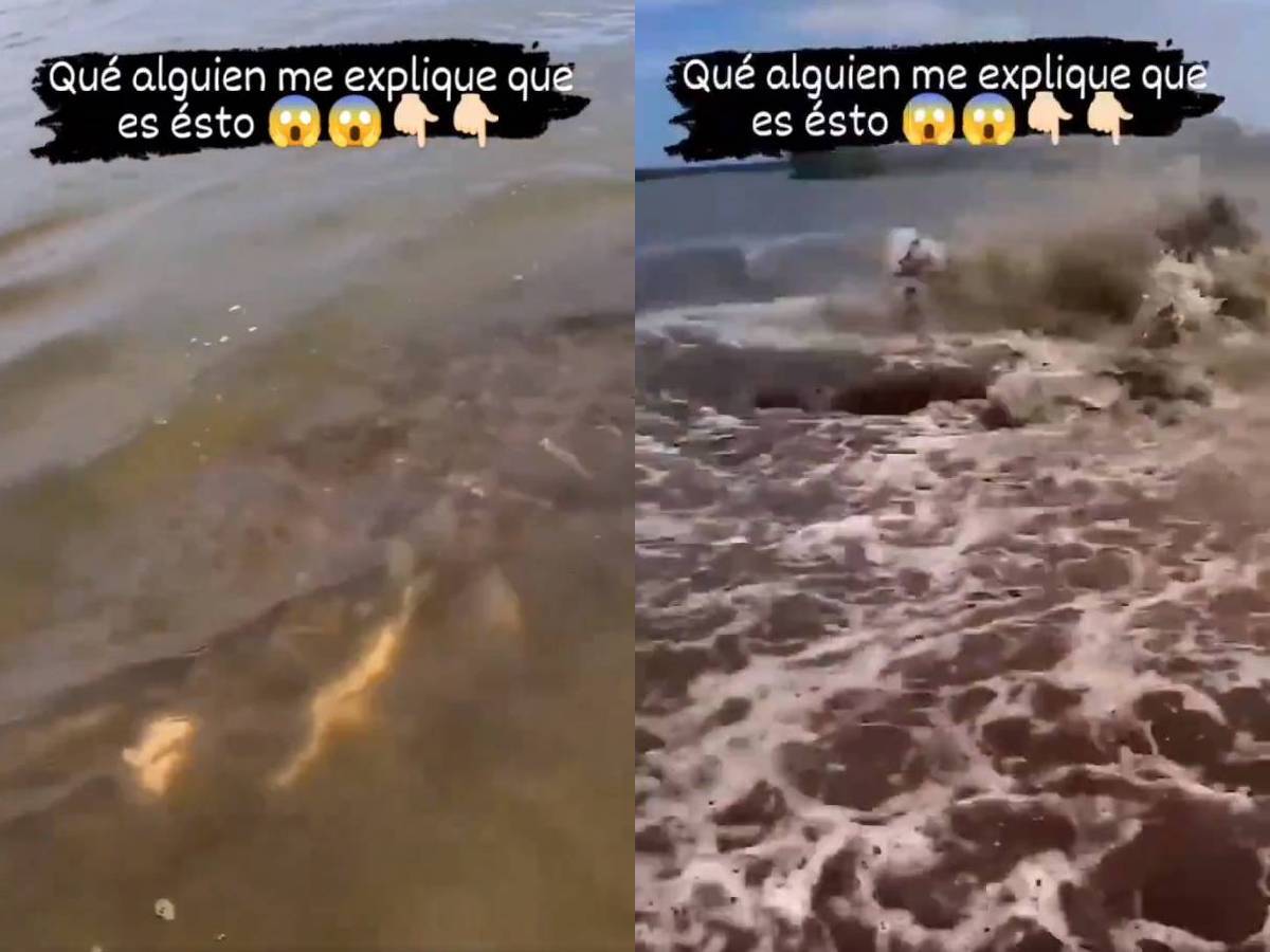 amazon, video: misteriosa criatura ataca a hombre en kayak en el río amazonas