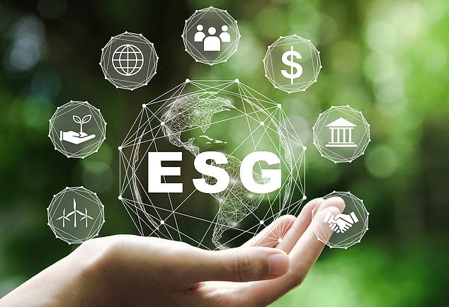 uk bosses fear being sued if they miss esg targets as woke investing grips the business world