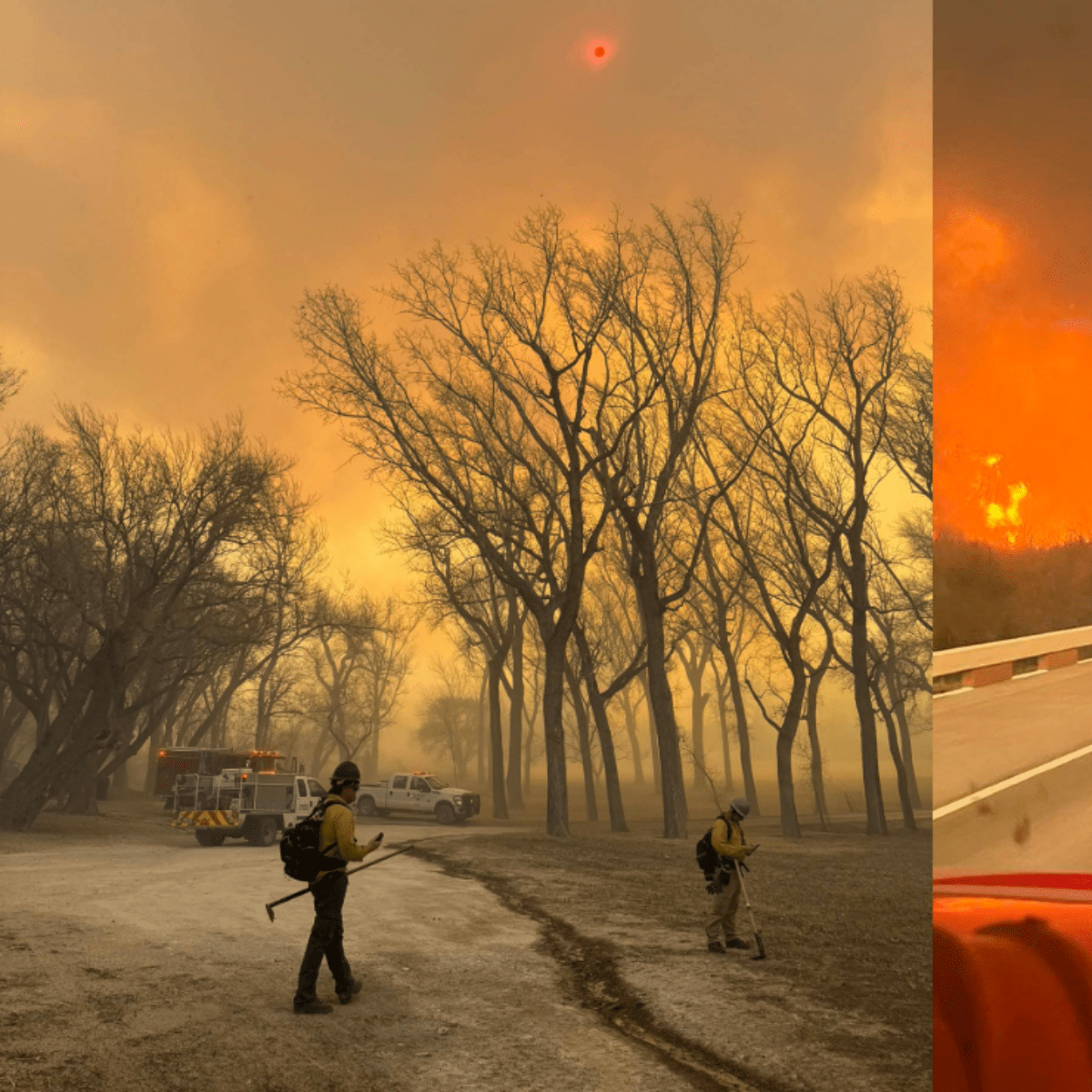 incendio consume más de 200 mil hectáreas de bosque en texas, estados unidos