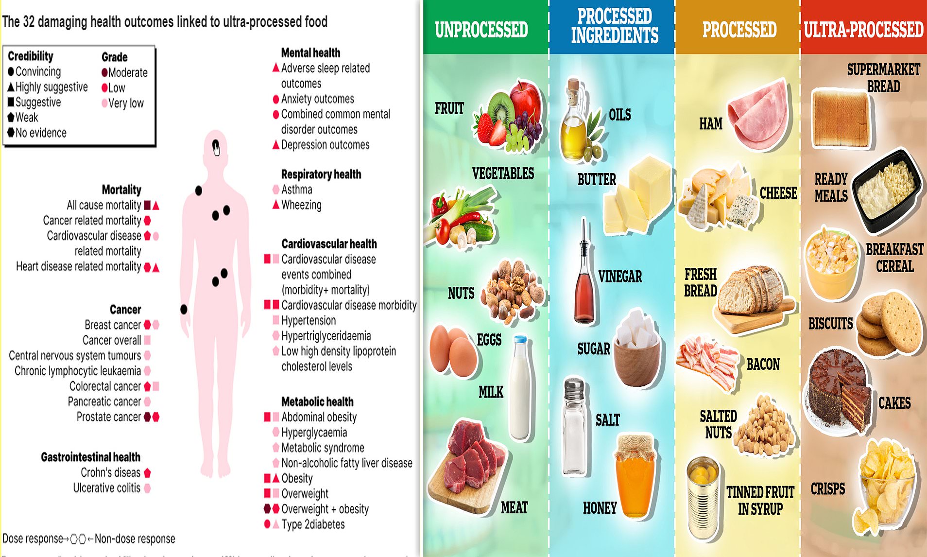 Ultraprocessed Foods Are 'harmful To EVERY Part Of The Body': Biggest ...