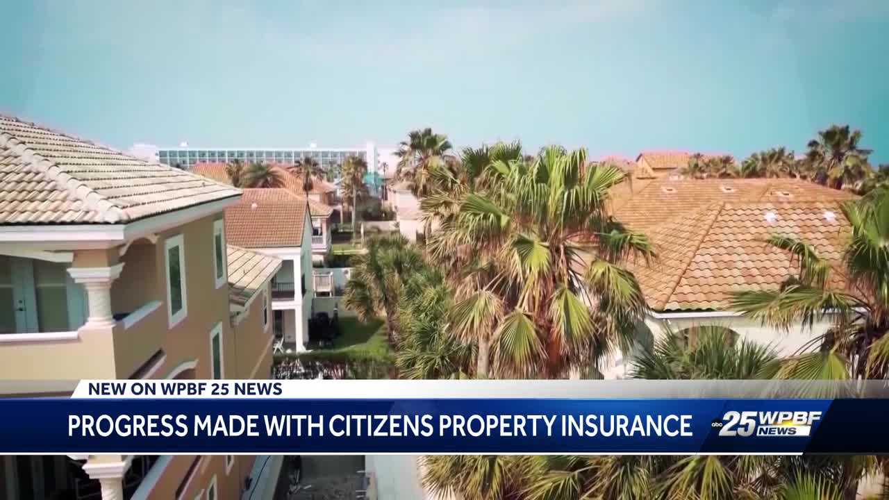 Experts Say Citizens Insurance's Plan Of Transferring Policies To ...