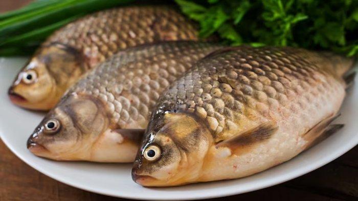 makan ikan direkomendasikan bagi penderita diabetes,inilah 5 jenis ikan yang bagus dikonsumsi