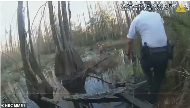 incredible moment florida cops rescue 5-year-old girl with autism from dense watery swamp after spotting her from drone