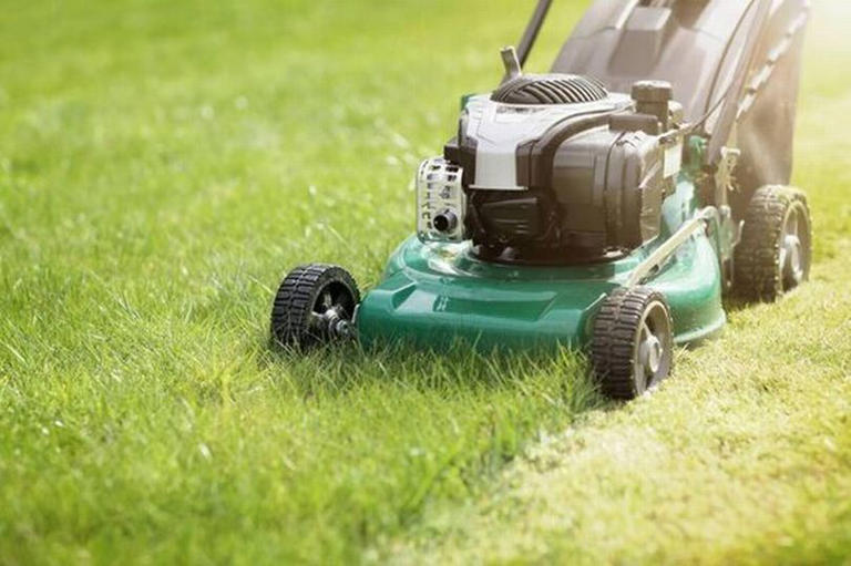 Gardener explains when to cut your grass and how often for a thicker lawn